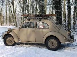 Guesthouse -Apartment Bergzyt - mit oder ohne Frühstück , im Ski und Wandergebiet