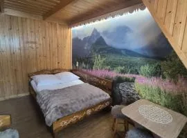 Pokoje i Apartamenty Regionalny Styl ul Bachledy 41 Zakopane