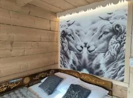 Pokoje i Apartamenty Regionalny Styl ul Bachledy 41 Zakopane