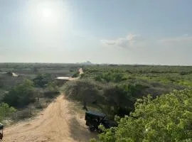 Wild trails -Yala