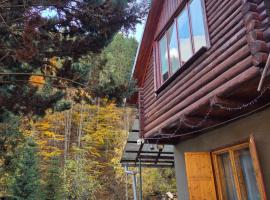 Cabana Montis River, ξενοδοχείο σε Baisoara