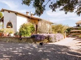 Agriturismo Podere Bellavista