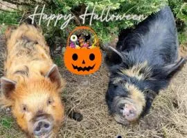 The Old House at Belfield