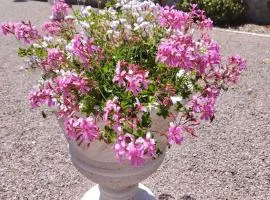 Gite La Nobleterie - 4 personnes Zoo de Beauval 35min