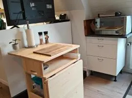 Calm & Cozy First Floor Apartment