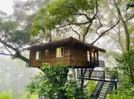 Tree Nature Resort