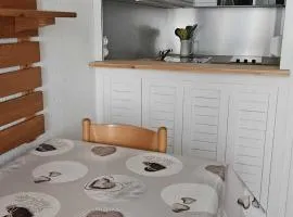 Appart 4 pers avec WIFI, animaux admis, proche pistes - Les Menuires - FR-1-574-66