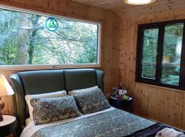 Stream-side cabin and sauna，位于Ballyduff的木屋