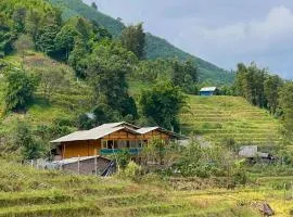 Mango Sapa Homestay & Trekking