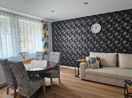 Apartament 9 Delux - Bliżej Zdroju