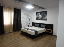 Hostel Tsanovi、プレヴェンのホテル