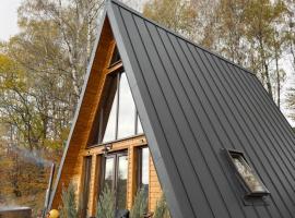 Wildcabinpanoramic Marisel, hótel í Mărişel