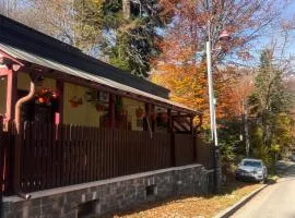 Casa de Vacanta Razvan si Andrei