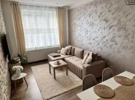 Moderní apartmán v blízkosti centra města,WiFi,Netflix