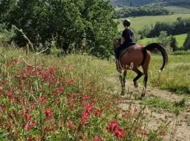 Agriturismo La Rugiada di Pociano