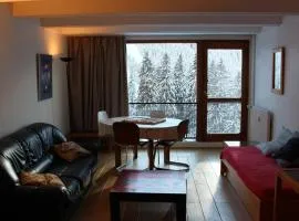 Appartement 3 pièces, 8 pers, Résidence Cassiopée, Flaine Forum, à 50m des pistes et commerces - FR-1-687-87
