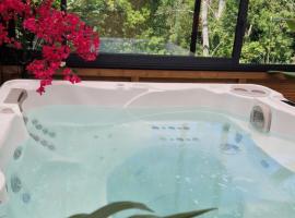 Résidence belle créole I Le Balisier I Duplex avec jacuzzi à 15min de Disneyland Paris, hôtel avec bain à remous à Quincy-Voisins