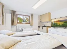 Comfortable studio near Saas-Fee ideal for couples