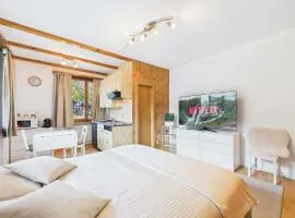 Comfortable studio with balcony and panoramic view