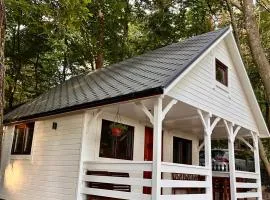 Domek w lesie nad jeziorem Żarnowieckim