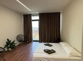 Minimalist studio appartment