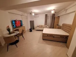 Garsoniera zona centrala Craiova