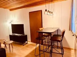 AlpinRetro-Apartment I Stylisch & zentral I See & Berge I Luzern I Zürich I Stoos I Rigi