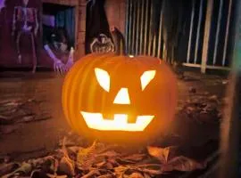 Apartamenty Gajówka- rowery, plac zabaw, sauna, jacuzzi