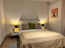 Black and Ginger Residence, hotel din Becicherecu Mare