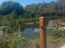 Luxury mini lodge with lakeside views