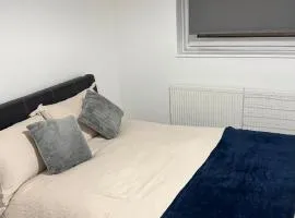 Modern 1-Bed Flat in Crystal Palace Sydenham