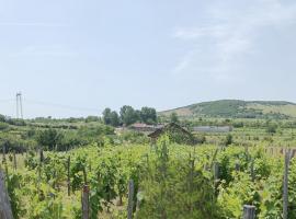 Holiday home with vineyard and city view, hotel en Faţa Buliga