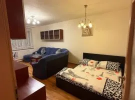 luxury family apartment