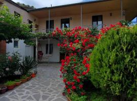 Guesthouse Mtkvari, hotel in Nak'alak'evi