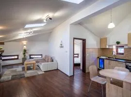 Vijećnica Loft Apartment