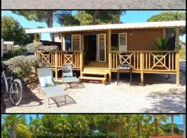 HappyMobilhome Argelès-sur-mer -plage à 500m- Camping 4 étoiles Del Mar