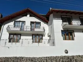 Pensiunea Hanzu Darius