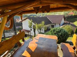 Pensiunea Hanzu Darius, hotel in Gura Rîului