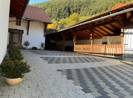 Pensiunea Hanzu Darius