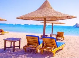 Dexon Roma Down Town Hotel