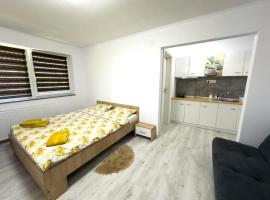 Pensiunea NikoBella Panzió, hotel v destinaci Sovata