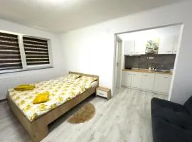 Pensiunea NikoBella Panzió