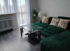 Trzy pokojowe mieszkanie przy UMK ,kilka przystanków od starego Miasta