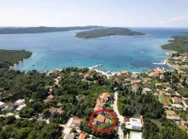 Apartments with parking space Muline, Ugljan - 8521