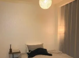 Apartment near Gangnam double bed