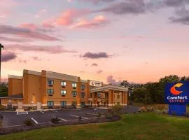 路易斯堡康福特套房酒店