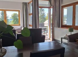 Prémiový apartmán s privátní saunou a terasou v blízkosti Lipenské nádrže a lyžařského střediska, hotel i Lipno nad Vltavou