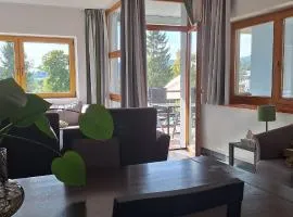 Prémiový apartmán s privátní saunou a terasou v blízkosti Lipenské nádrže a lyžařského střediska