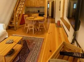 SkiLift Tarvisio Apartment Free Parking