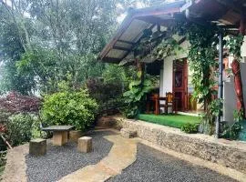 Ella Hide Forest Cottage